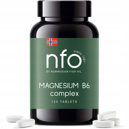 NFO Magnesium B6 (120 tabl.)