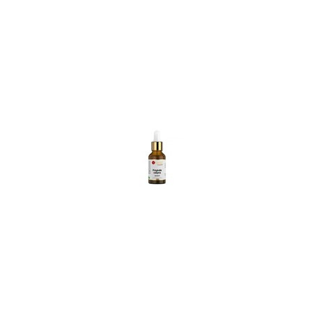 YANGO Przytulia czepna - ekstrakt 20:1 (30 ml)